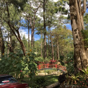 Botanical Garden at Baguio City