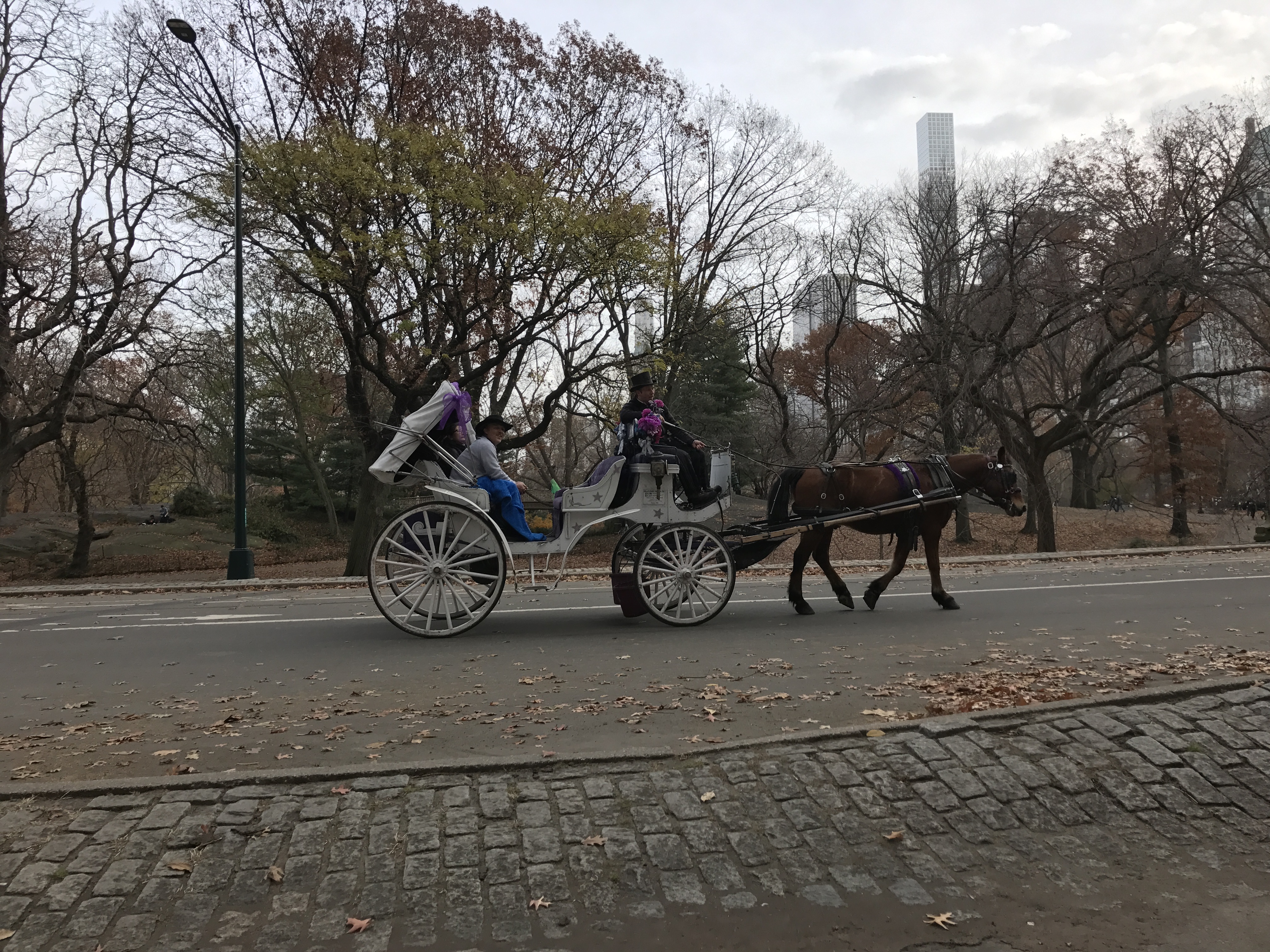 NYC Central Park